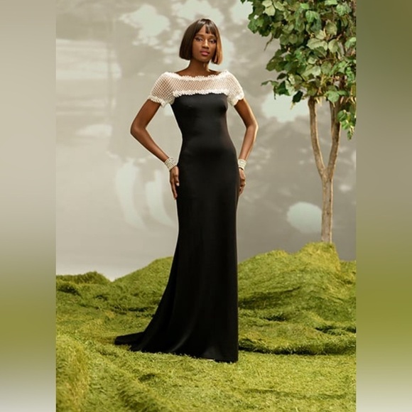 NWT Tadashi Shoji Lace & Crepe A-Line column Gown - Picture 2 of 10